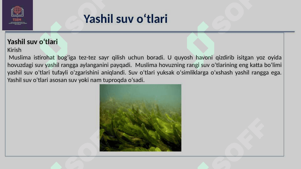 Tabiiy fanlar bo‘yicha savodxonlik  ( Seminar) 7