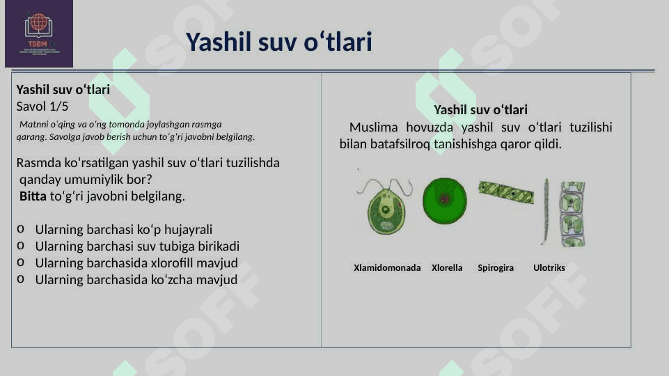 Tabiiy fanlar bo‘yicha savodxonlik  ( Seminar) 8