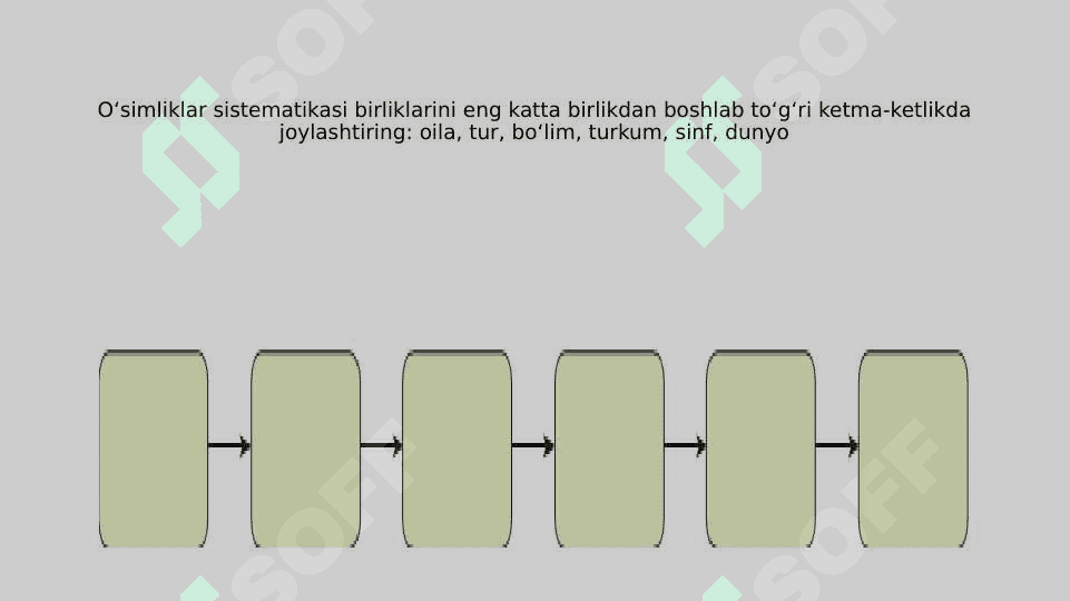 O’SIMLIKLAR SISTEMATIKASINI  O‘RGANISH 3