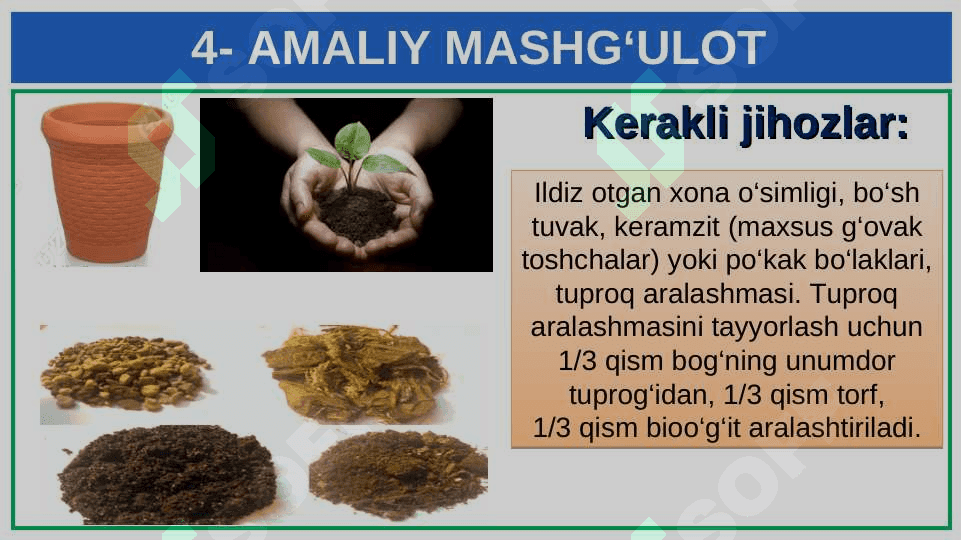 XONA O‘SIMLIKLARINI EKISH VA KO‘CHIRIB O‘TKAZISH 2