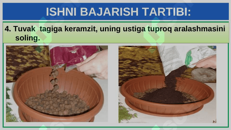 XONA O‘SIMLIKLARINI EKISH VA KO‘CHIRIB O‘TKAZISH 6