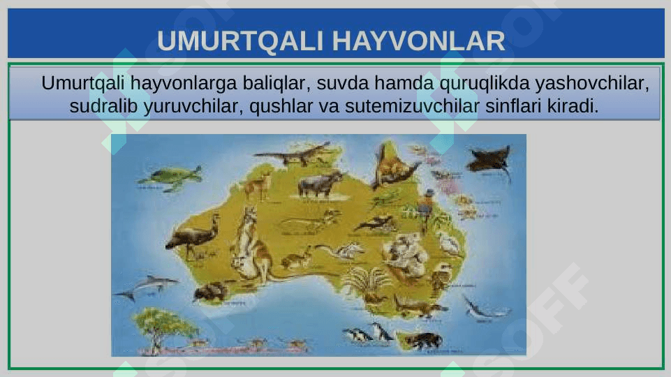 UMURTQALI  HAYVONLAR 2