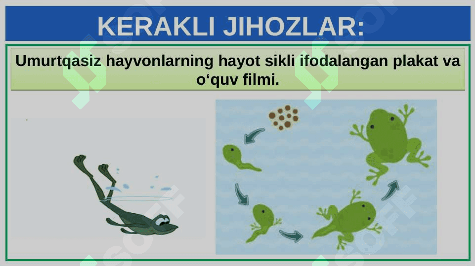 BAQANING HAYOT SIKLINI O'RGANISH 2
