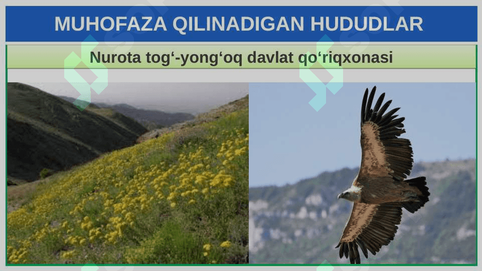 TABIATNI MUHOFAZA QILISH 6