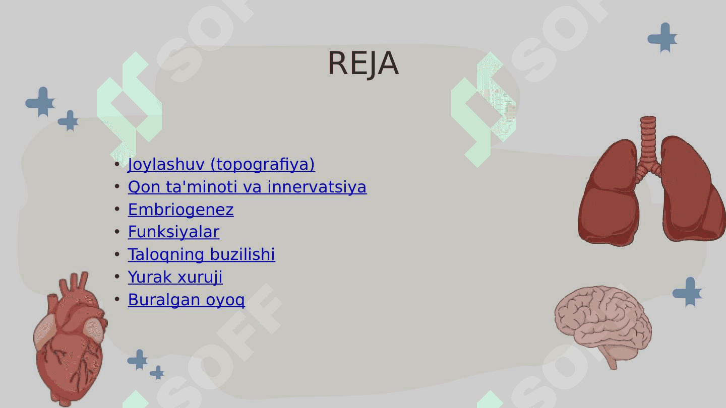 Taloqning tuzilishi va funksiyasi 2