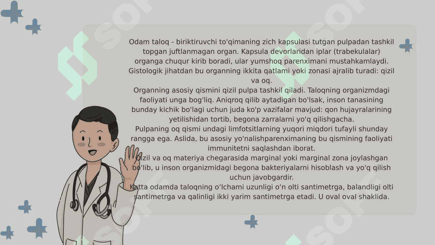 Taloqning tuzilishi va funksiyasi 3