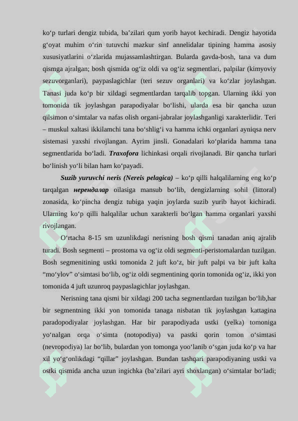 Halqali chuvalchanglar (Annelida) Echiura va Sipuncula tiplari 3
