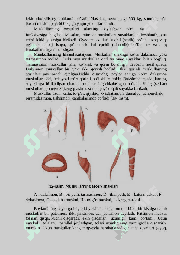MUSKULLARNING TUZILISHINI O‘RGANISH 2