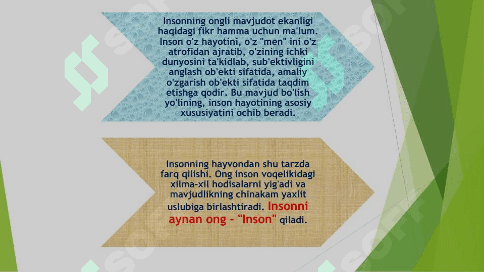 ong va uning rivojlanishi 4