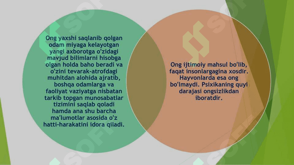 ong va uning rivojlanishi 7