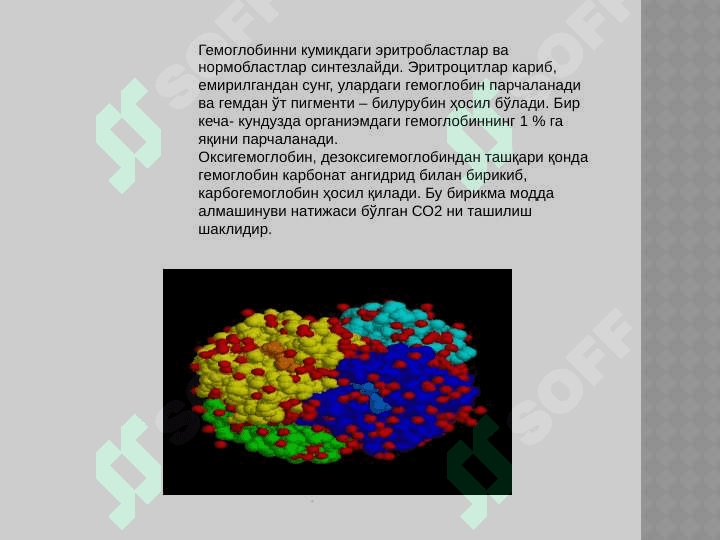 GEMOGLABINNING TUZILISHI 6