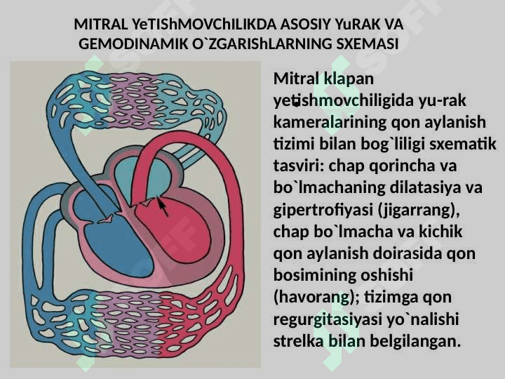 YURAK ORTTIRILGAN NUQSONLARI 7