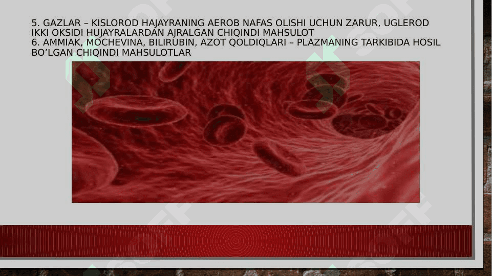 gemositopoez jarayoning boshqariluvi 4