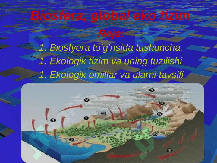 BIOSFERA, GLOBAL EKO TIZIM 3