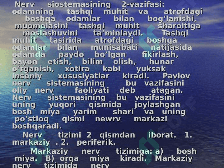 Nerv sistemasining fiziologiyasi va yosh    xususiyatlari 3