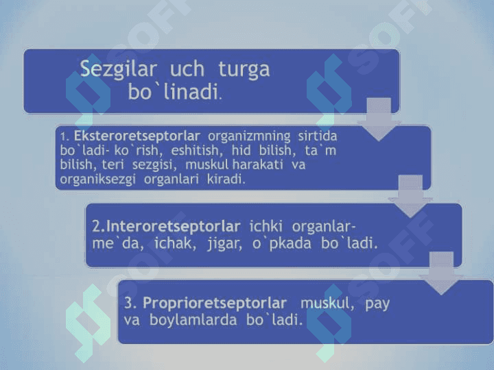 Bilish jarayonlari va psixodiagnostika 6