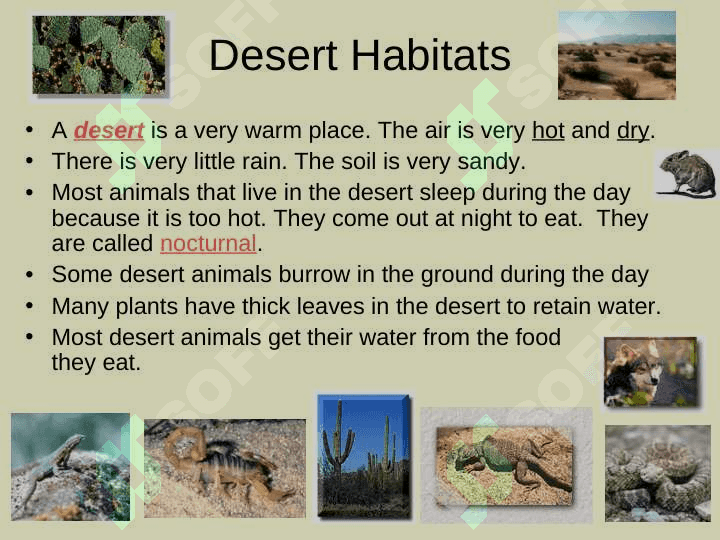 Habitats for Plants and Animalsby Denise Carroll 5