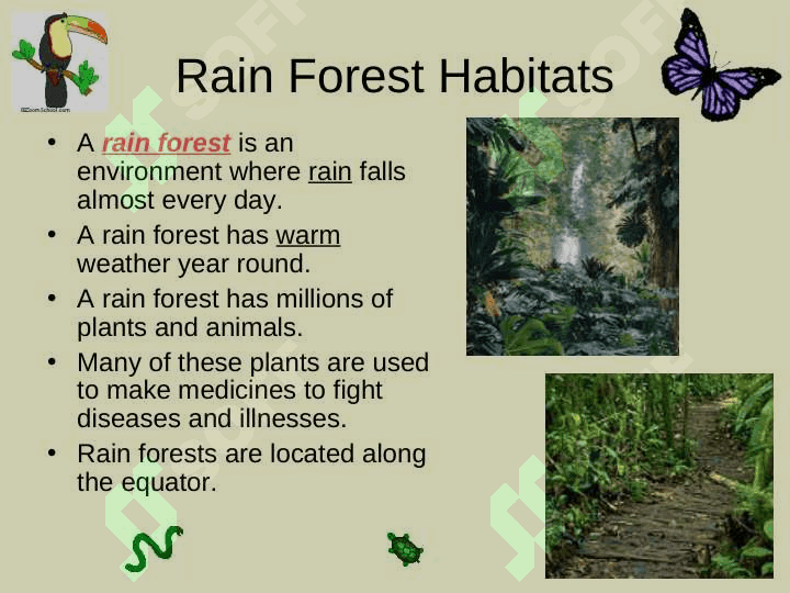 Habitats for Plants and Animalsby Denise Carroll 6