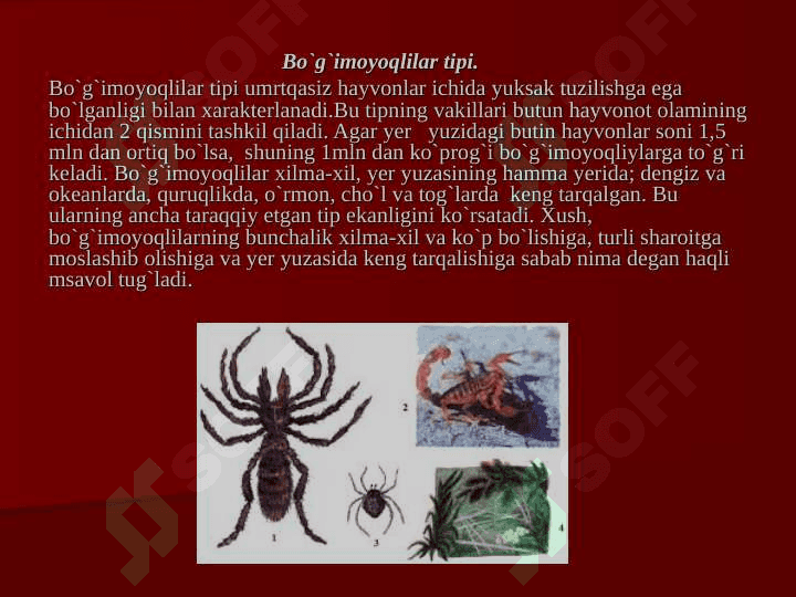 O’LKA HAYVONOT DUNYOSINI  O’RGANISH 8
