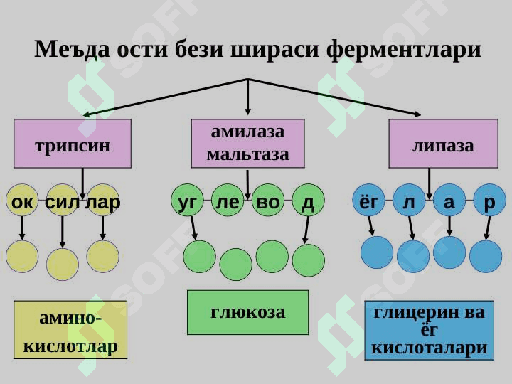 O`tkir pankreatit . Уткир панкреатит 5