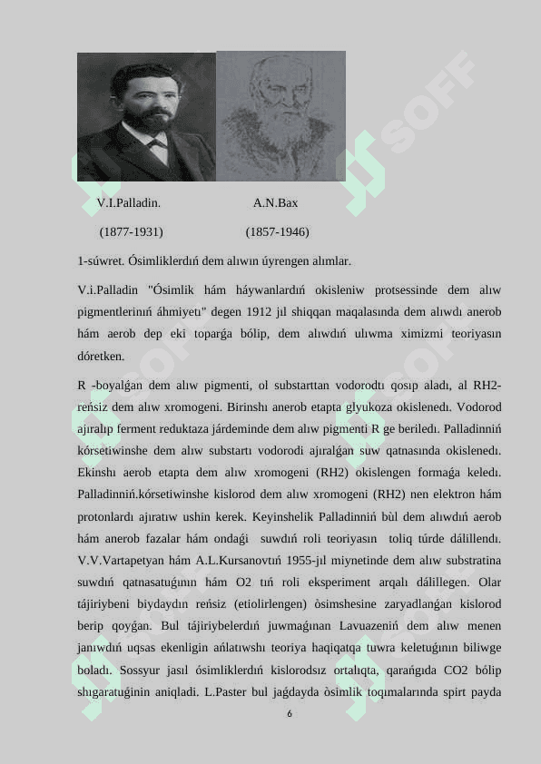 #kurs jumisi 6