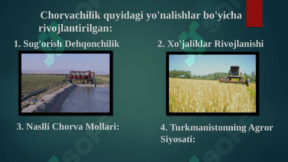 Turkmaniston Respublikasi Chorvachiligi 4