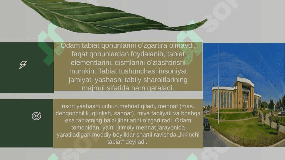 Tabiat muzeyiga tashrif 3