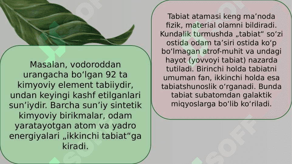Tabiat muzeyiga tashrif 4