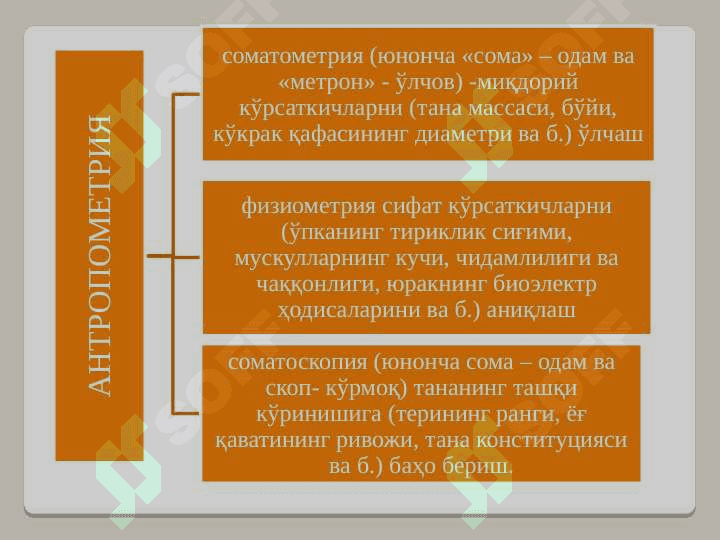 Ёш физиологияси ва гигиена 5