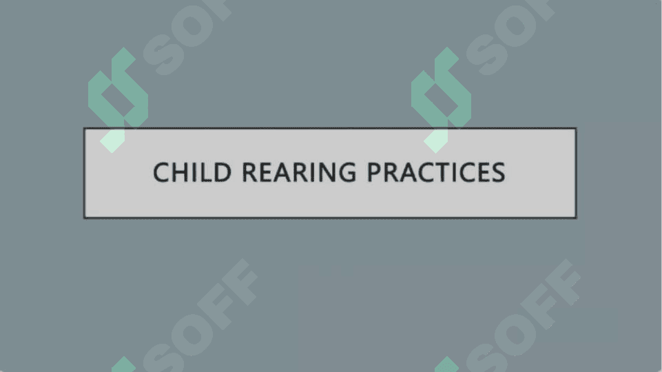 Family values. Child rearing. Family traditions 6