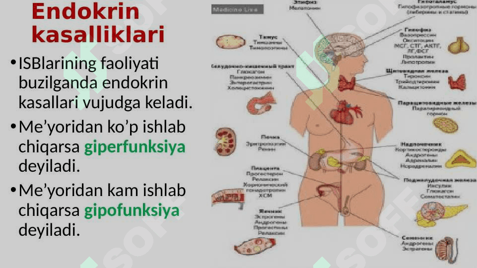 Ichki sekretsiya bezlari 6