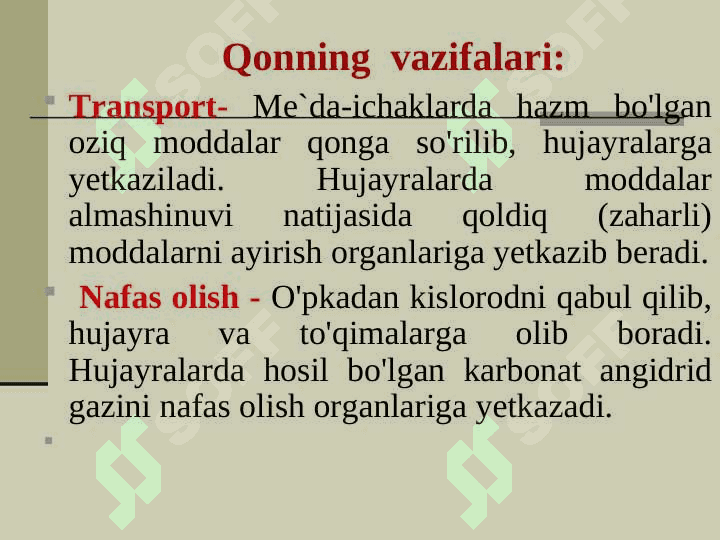 QON  TOMIR  VA  LIMFA  TIZIMI 4
