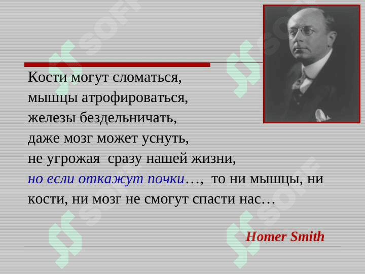 Bolalarda glomerulonefritlar . БОЛАЛАРДА ГЛОМЕРУЛОНЕФРИТЛАР 3