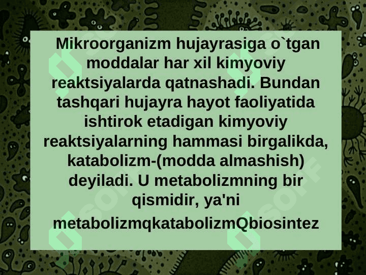 MIKROORGANIZMLAR MЕTABOLIZMI 2