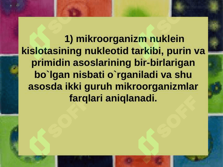 MIKROORGANIZMLAR KLASIFIKATSIYASI 7
