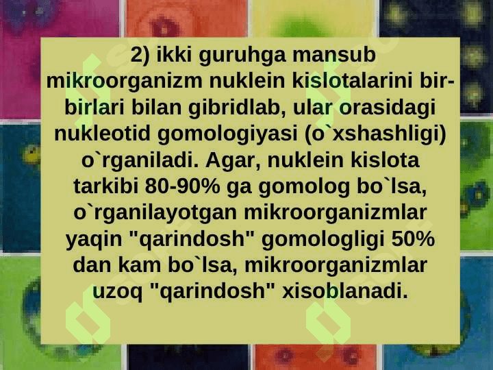 MIKROORGANIZMLAR KLASIFIKATSIYASI 8
