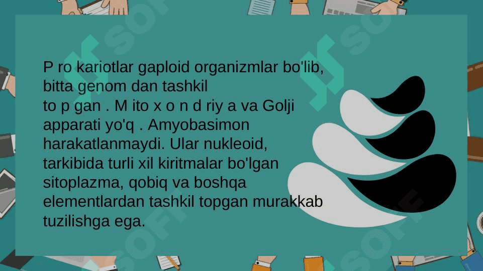 Bakteriyalarning ultrastrukturasi 5
