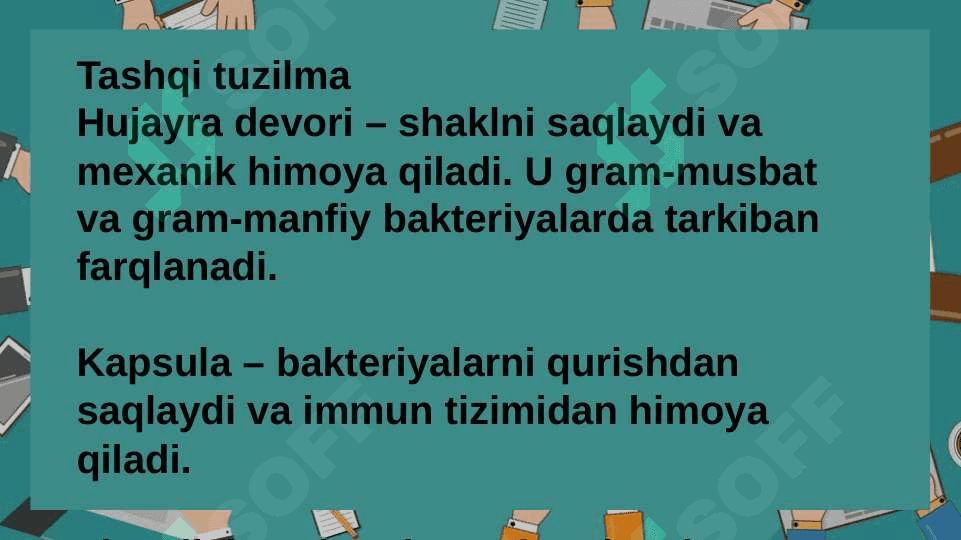 Bakteriyalarning ultrastrukturasi 8