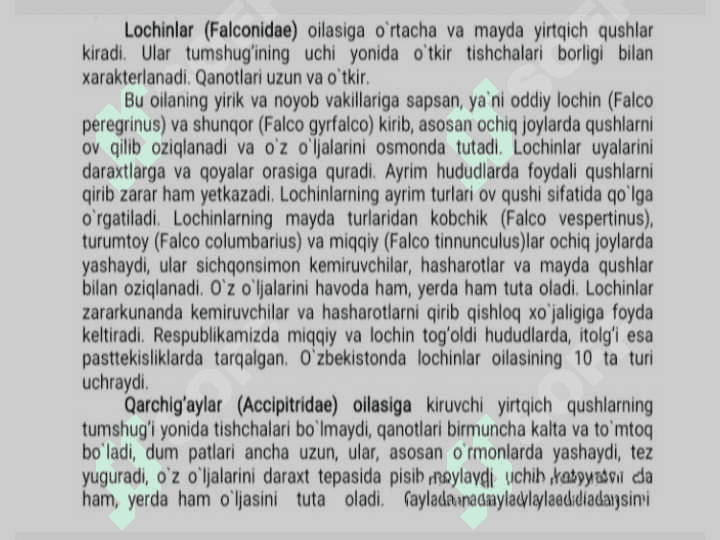 lochinsimonlar 5