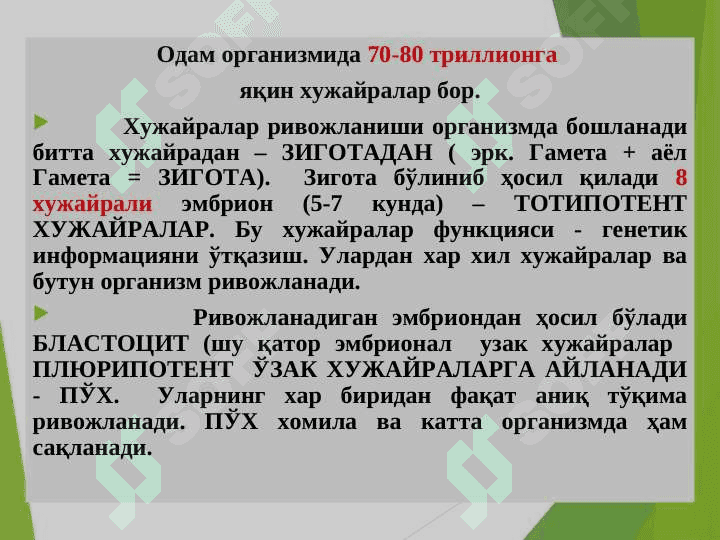 HUJAYRA SHIKASTLANISHI PATOFIZIOLOGIYASI 3
