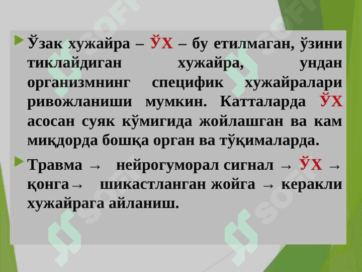 HUJAYRA SHIKASTLANISHI PATOFIZIOLOGIYASI 4