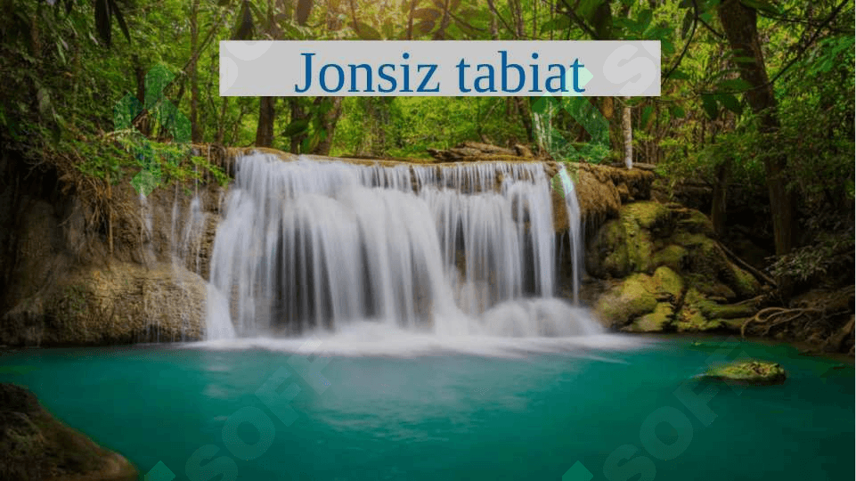 Jonli va jonsiz tabiatni o'rganamiz 4