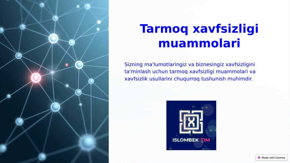 Tarmoq havfsizligi muammolari