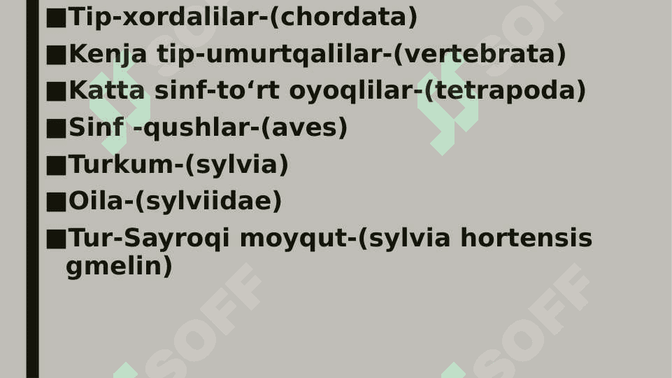 qushlar turlari sayroqi moyqutning turkumlari pptx 2