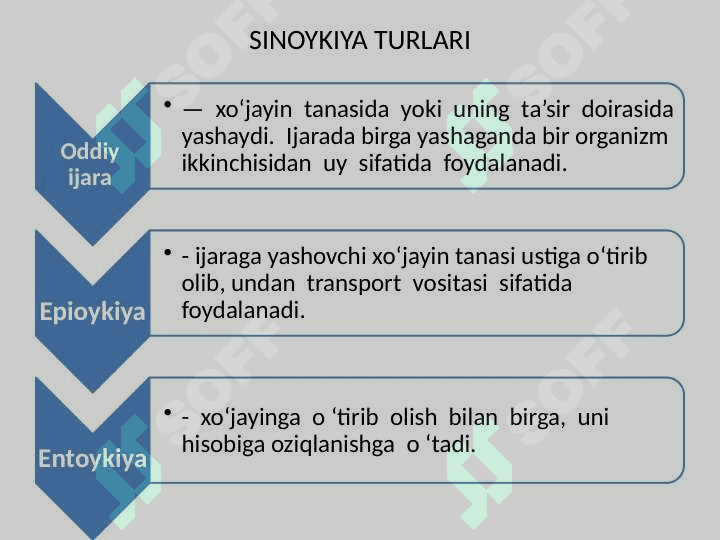 Parazitizm  va parazitlar haqida tushunchalar .  pptx 3