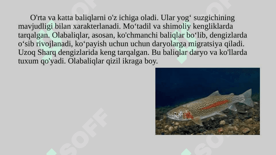 Olabaliqlar oilasi tavsifi pptx 5