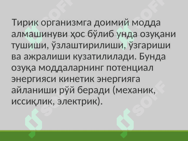 TERMOREGULYATSIYA 2