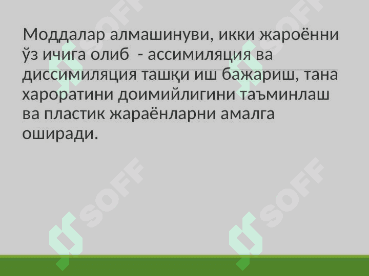 TERMOREGULYATSIYA 3