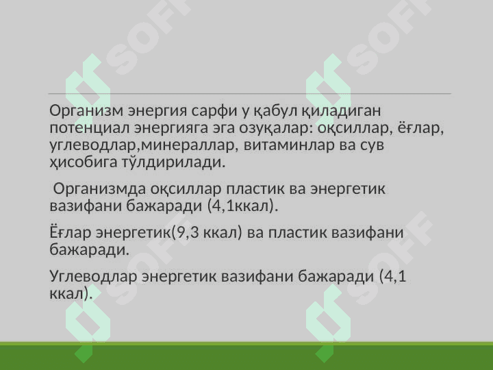 TERMOREGULYATSIYA 7