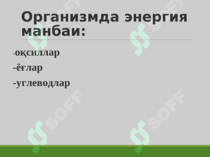 TERMOREGULYATSIYA 8